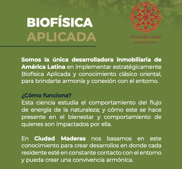 Bosques Página 15