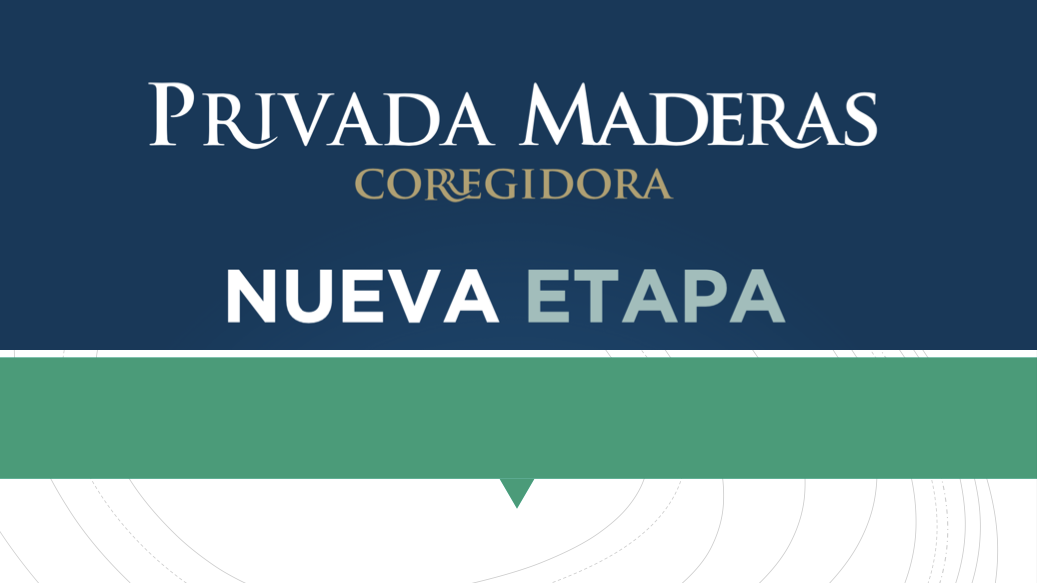 Corregidora Página 1