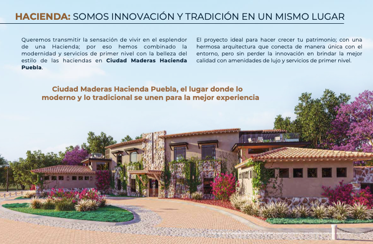 Hacienda Puebla Página 4